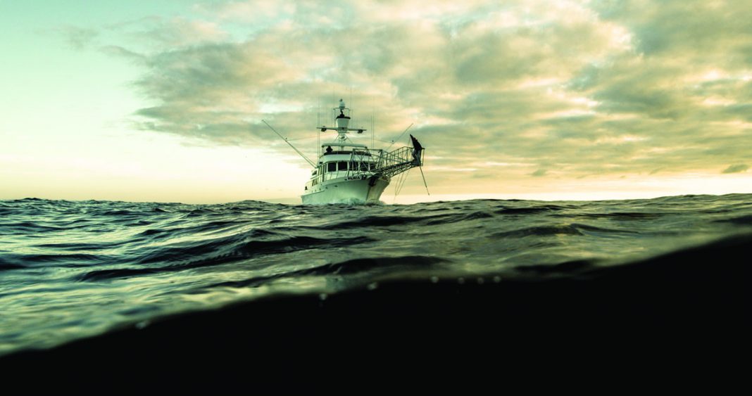 Fresh Catch Newport Beach Magazine