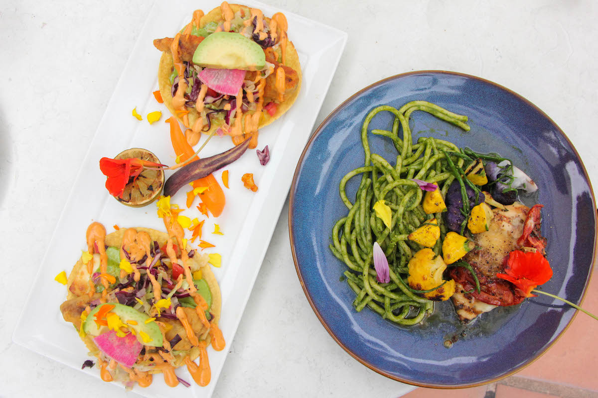 Cultivar vegetarian tacos and grilled chicken breast_credit Ashley Ryan