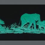 Elephants-Bd