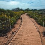 DSC_2924 copy 2-2-(ZF-6832-47434-1-001)