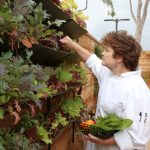 NBM_30_Dine_Provenance_By Jody Tiongco-88