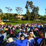 Newport-SBTS12-R&J-SD31