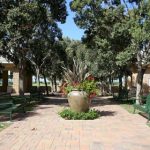 NBM_32_Habitat_Parks and Recs_By Jody Tiongco-5