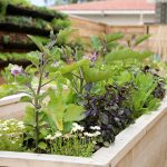 NBM_30_Dine_Provenance_By Jody Tiongco-34