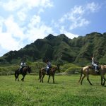 Horseback tours