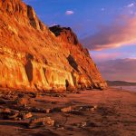 Torrey Pines State Reserve -Courtesy Brett Shoaf Artistic Visuals -lead
