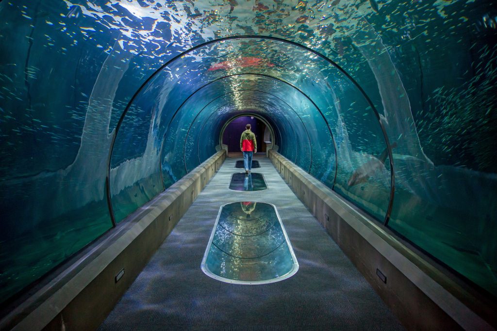 Oregon Coast Aquarium