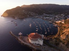 Avalon Harbor photo by Niaz Uddin