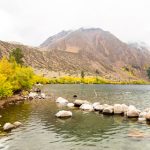 2018-10-03-Fall-Color-Convict-Lake-WRAY-2