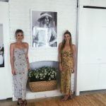 low-res stone cold fox