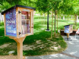 SCTFA Little Free Library