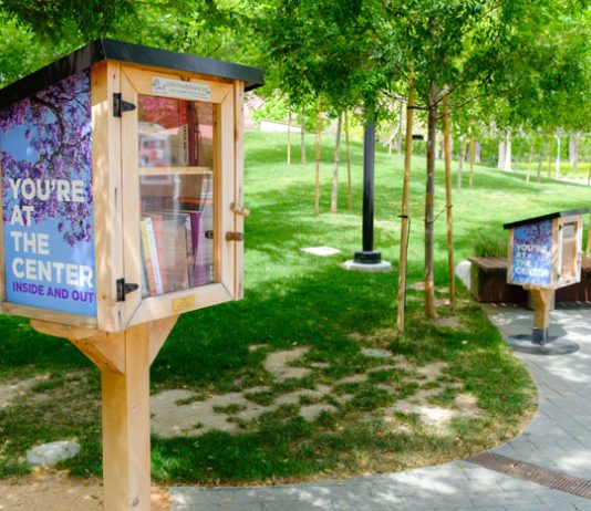 SCTFA Little Free Library