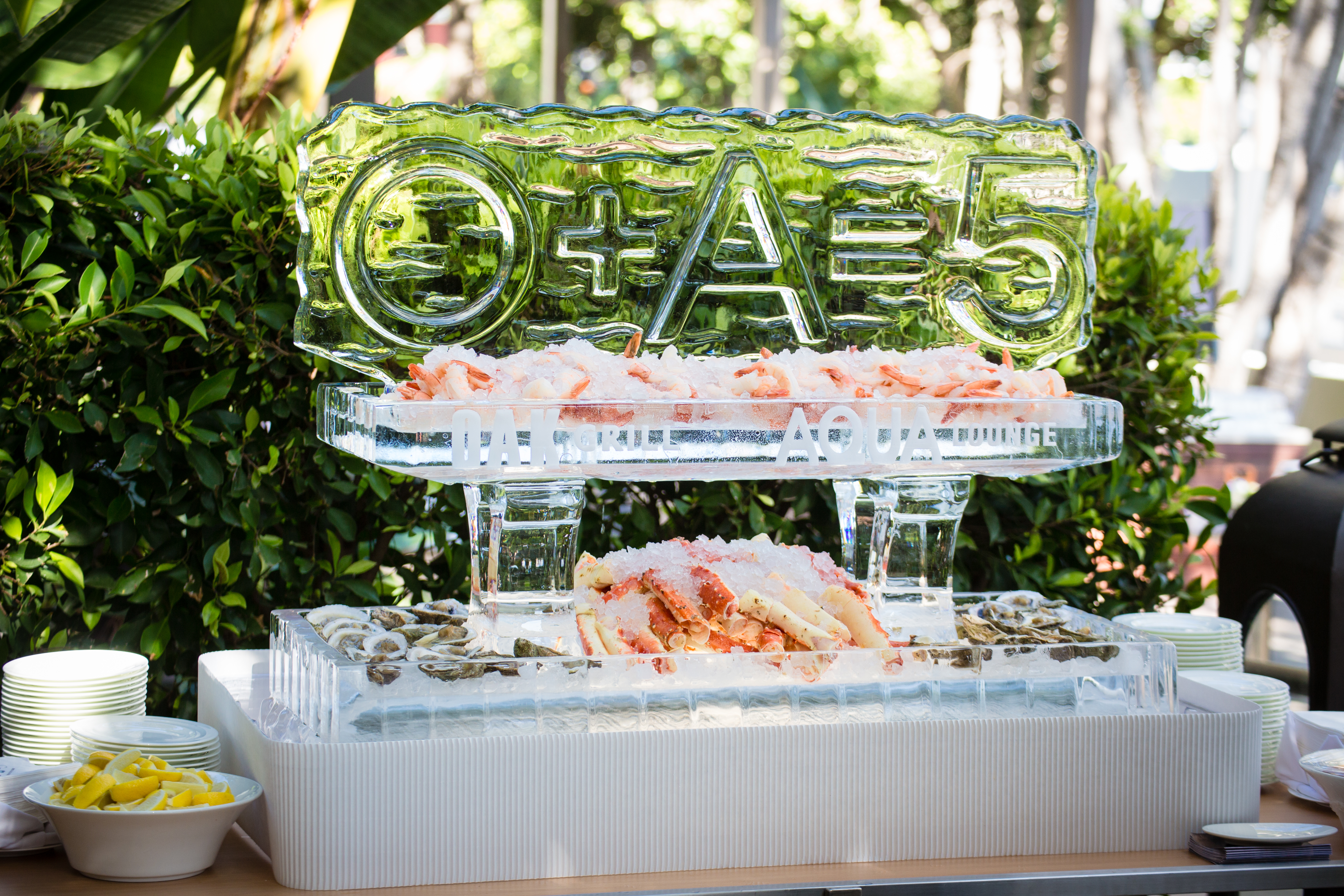 Oak-Aqua-FiveYearAnniversary-30