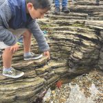 3.13.2023 Seastar at Tidepools_Crystal Cove Conservancy