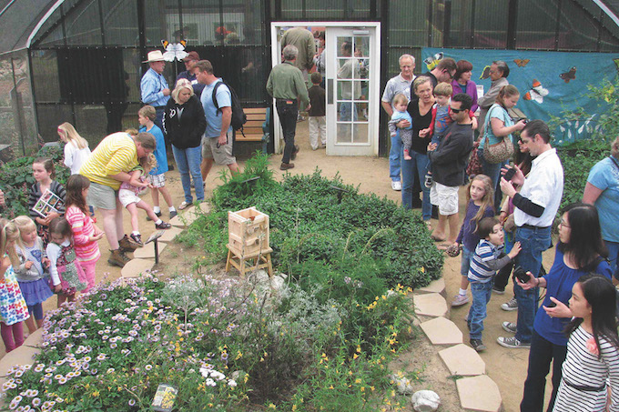 B-Fly House_small-credit Environmental Nature Center