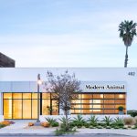 Courtesy of Modern Animal