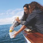 crystal cove-J. Christopher Launi/Courtesy of Crystal Cove Conservancy