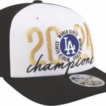 Dodgers hat from Dick_s Sporting Goods