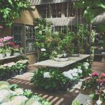 Roger_sGardenSpringRetouchedHighRes12