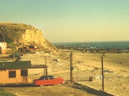 Misc Cove Shots Summer 2007 006 copy-credit Mike Fenderson