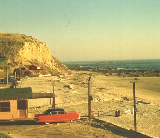 Misc Cove Shots Summer 2007 006 copy-credit Mike Fenderson